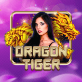 Dragon Tiger fb009 RTP