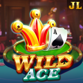 Wild Ace fb009 slot game